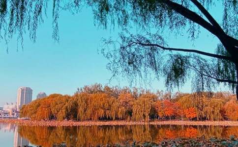 ��������ɽ����