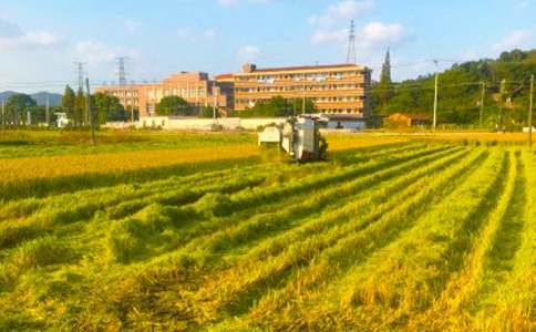 第一次秋收作文(通用10篇)