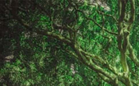 �I��ɭ�ֹ��@��ӛ���ģ����x14ƪ��