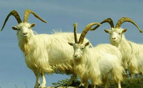 Ұɽ��������Ї�Ԣ�Թ���