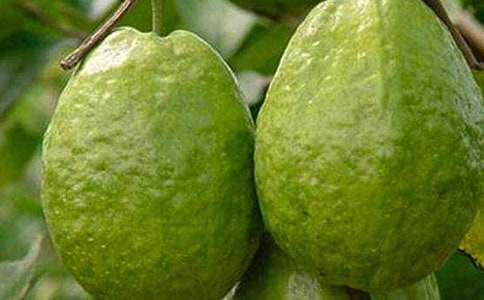 ���P(gu��n)ʯ������600��10ƪ