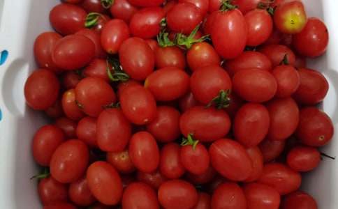 精選水果觀察作文三篇