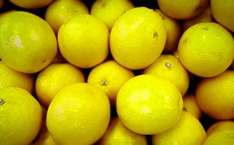 關(guān)于水果觀察作文(精選24篇)