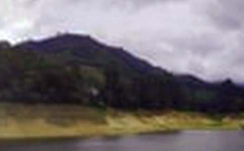 游鶴地水庫(kù)作文400字