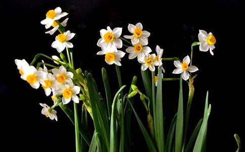 ���xˮ������300��3ƪ