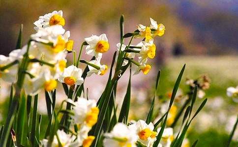 ��ˮ�ɻ����^������