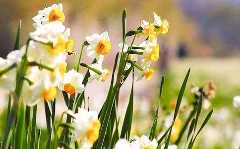 ��ϲ�gˮ�ɻ�����250�֣����x10ƪ��