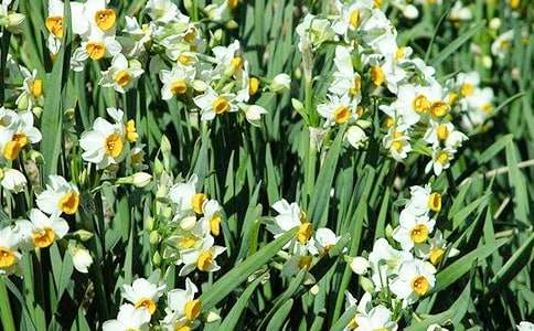 �����^��ˮ�ɻ�