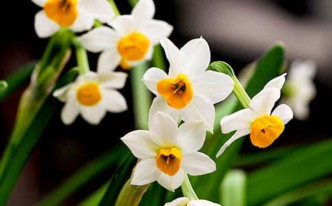 �^��ˮ�ɻ�����600�֣�ͨ��33ƪ��