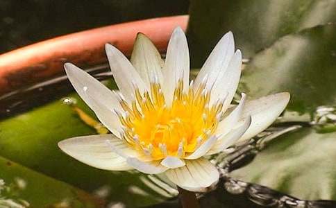 ˯ɏ�cɏ����(y��u)�����ķ���