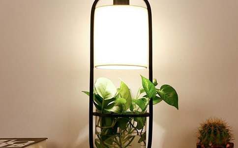 我的臺燈作文300字