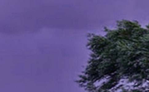 �_�L�������ģ����x56ƪ��