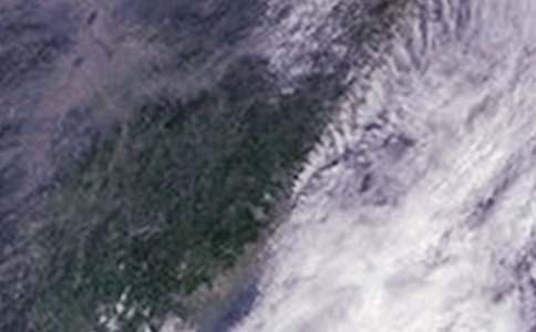 臺風(fēng)來了作文