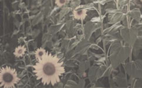 ̫�(y��ng)�����꼉(j��)����600�֣�ͨ��41ƪ��