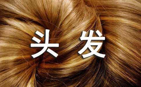 頭發(fā)也瘋狂的初一作文200字