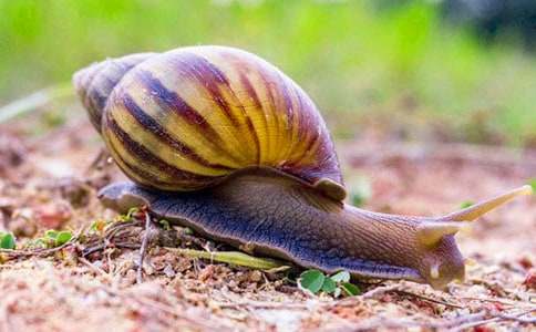 ΁ţ������С�W(xu��)����