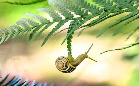 �^��С΁ţ������