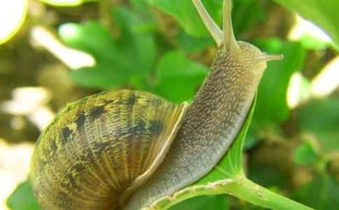 �^��΁ţ300��