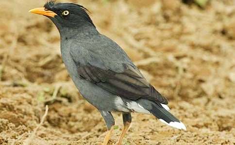 ���f���ܺ�ˮ����