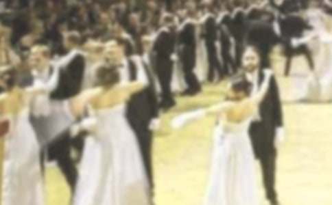 狐貍的舞會作文