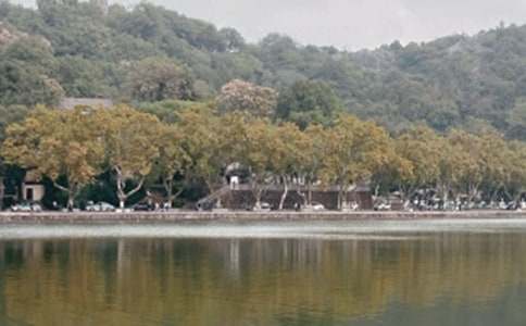 西湖的水我的淚優(yōu)美作文(精選27篇)