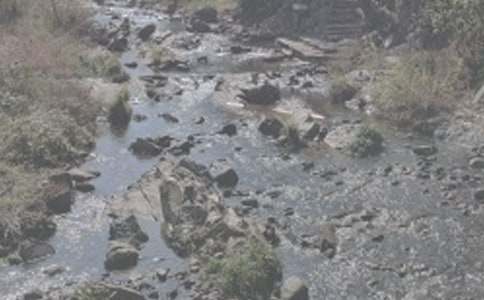 СϪ������������5ƪ