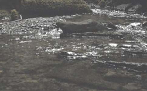 Ϫ����Ԣ�Թ���