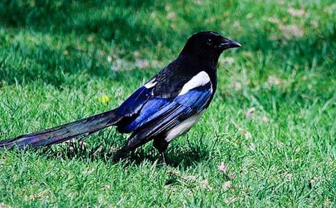 ϲ�o����400��3ƪ