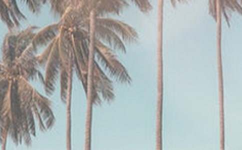 走過夏季作文800字