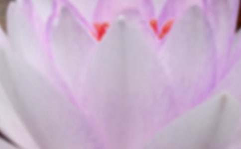 �e(cu��)�^(gu��)����1500��ӛ����