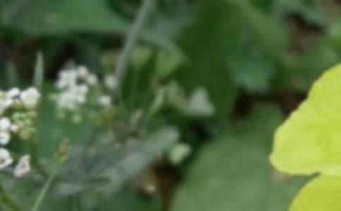 ������(x��)��С�����(hu��)�I(l��ng)��̰���ͨ��13ƪ��