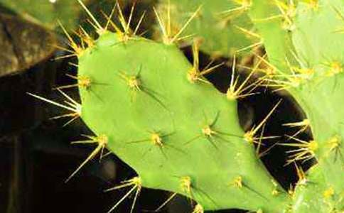 �����]���^������������15ƪ