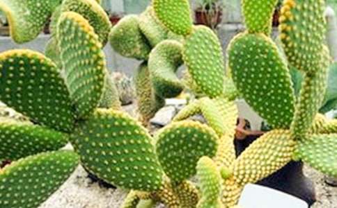 �茑(xi��)������ӛ���ģ����x20ƪ��