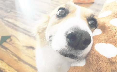 ���꼉�����^��С��