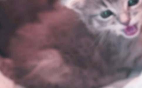 �Ҽҵ�С؈������350�֣�ͨ��41ƪ��