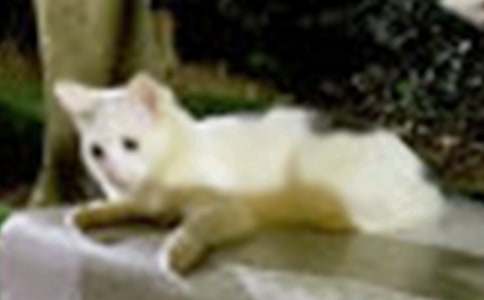 С؈���^������