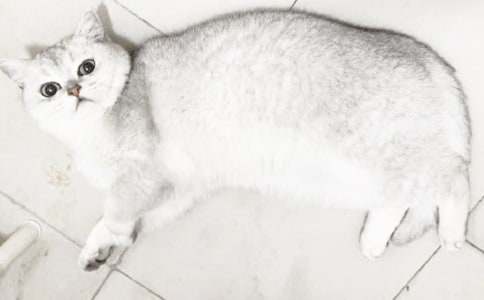 С؈�þ��˵Ŀ��D����