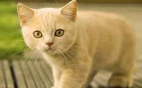 �^��С؈�������300��