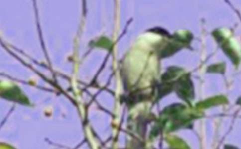 ���؂䡿С�B��������6ƪ