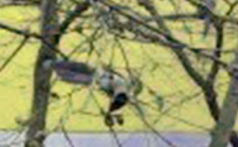 �����]��С�B��ͯԒ����20ƪ