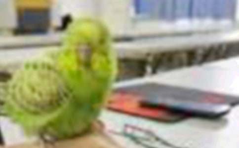 С�B������