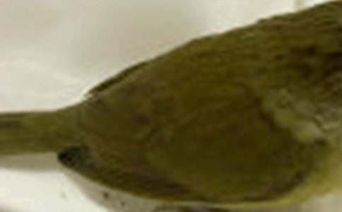 ������С�B���а��Z�Խ̰�