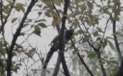 ��С�B���D��Ԓ����