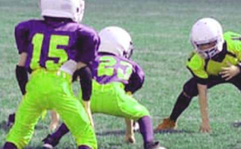 小學(xué)生作文生命的陽光