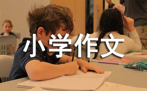 ���A����С�W(xu��)����