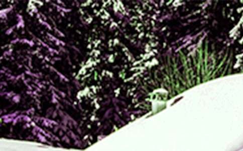 Сѩ��(ji��)���r(n��ng)�V