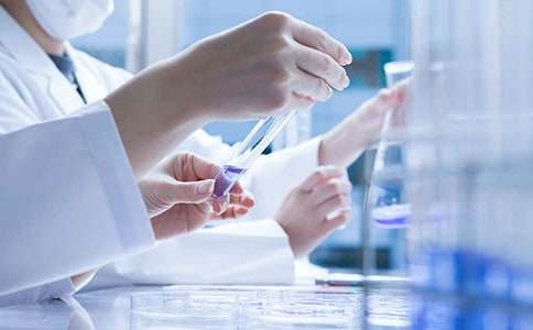 有關(guān)研究作文600字4篇