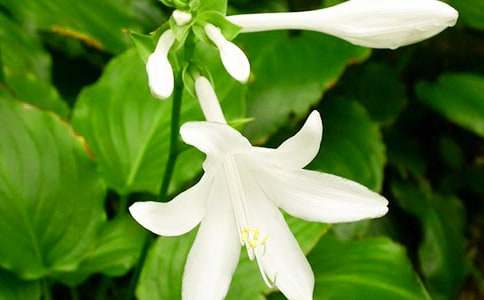 ����ҹ��(l��i)����~