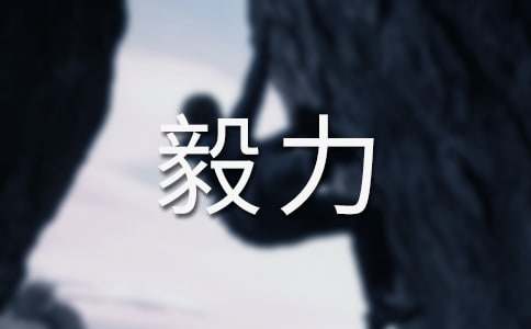 毅力作文500字6篇