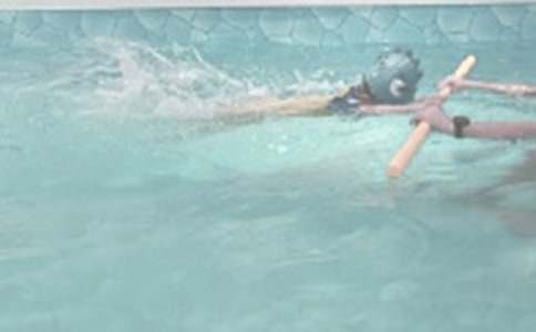 С�u�W(xu��)��Ӿ���D��(xi��)Ԓ���ģ����x18ƪ��